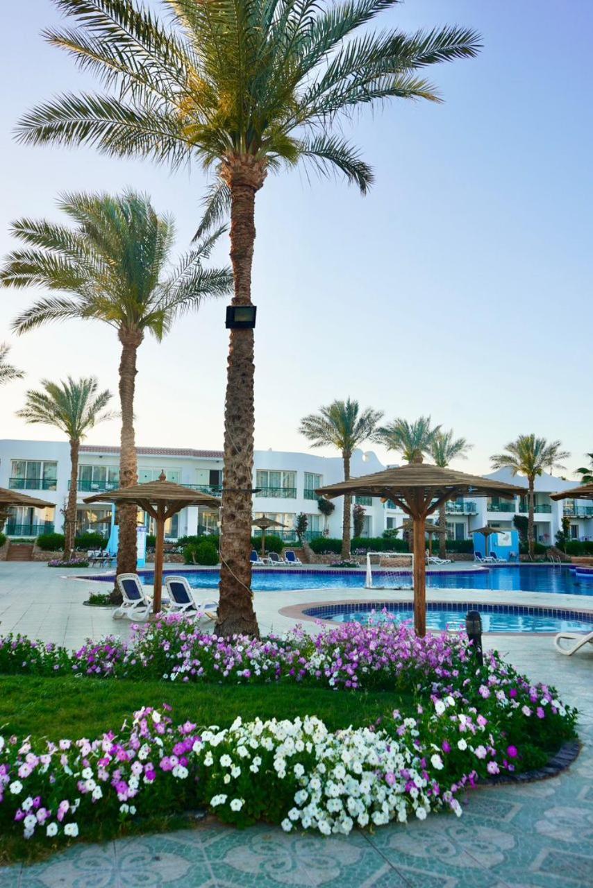 Hotel Panorama Naama Heights Sharm el Sheikh Esterno foto